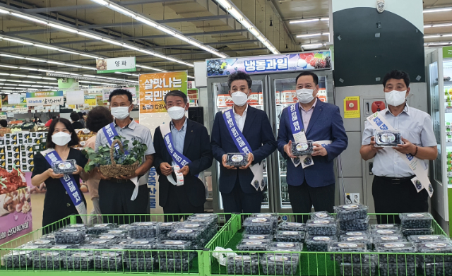 블루베리 판촉행사 (청주시)