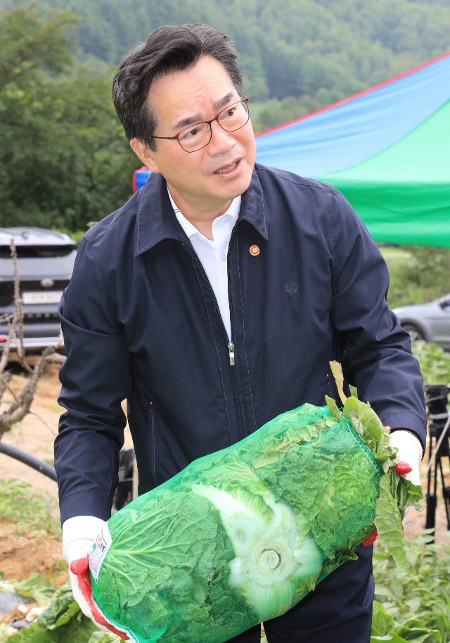 13일 정황근 농림축산식품부 장관이 강원도 평창군 배추밭을 점검하고 있다. (농림축산식품부)