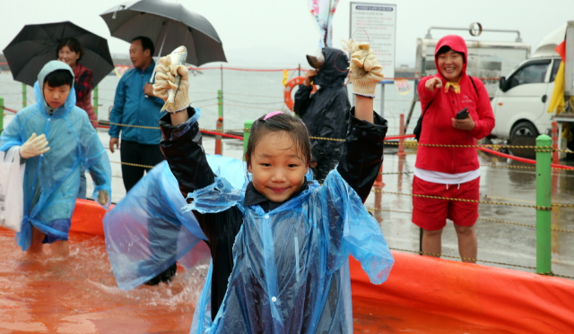 홍원항 전어 꽃게 축제 맨손잡이 (서천군)