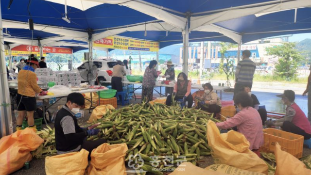홍천찰옥수수축제 (홍천군)