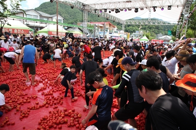 토마토 축제