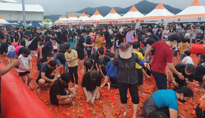 둔내고랭지토마토축제 (횡성군)