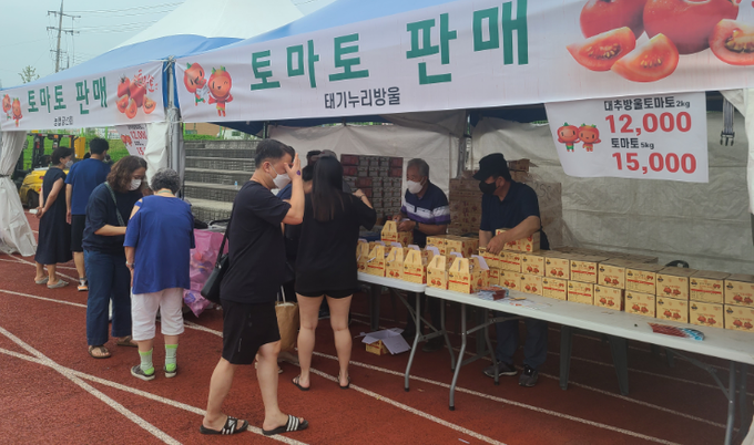 둔내고랭지토마토축제 (횡성군)