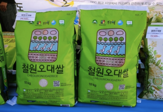 오대쌀 (철원군)