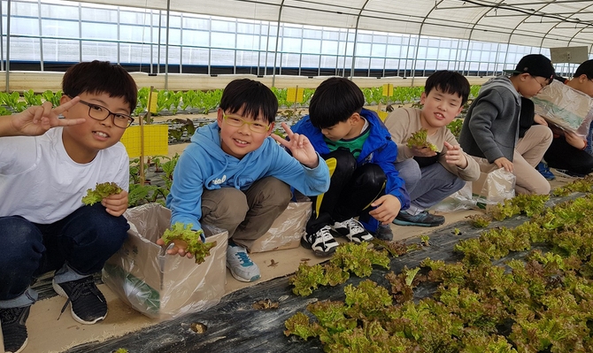 농촌 체험 (전남도)