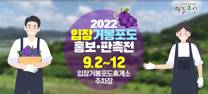 2022 천안 입장 거봉포도 홍보·판촉전 홍보 포스터 (입장거봉포도축제추진위원회)