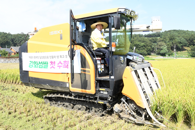 유천호 강화군수 강화섬 쌀 수확 (강화군)