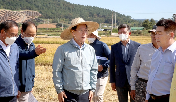 김영록 전남도지사가 1일 쌀 수확 점검 (전라남도)
