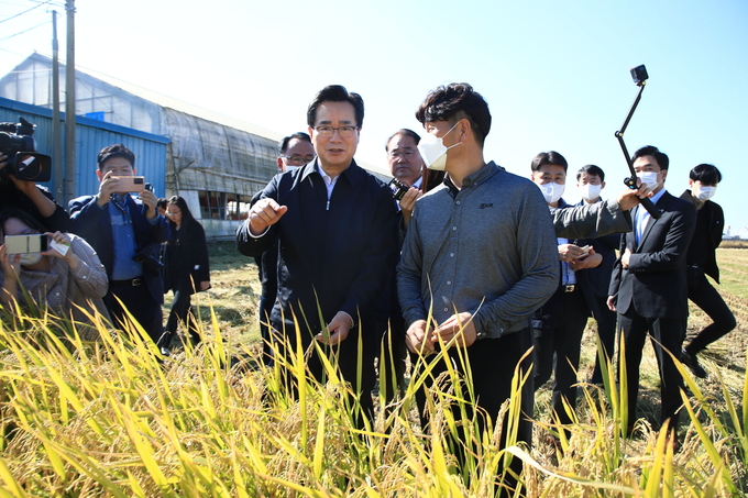 13일 정황근 농림축산식품부 장관은 가루쌀 수확, 생산 현장을 방문했다. (농림축산식품부)