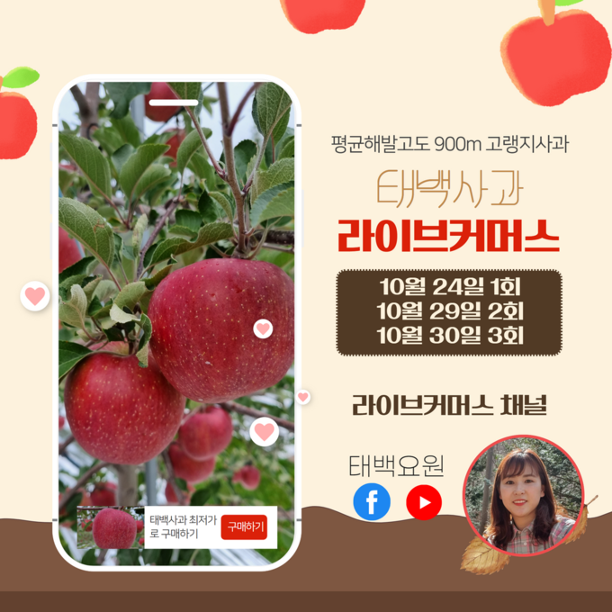 태백사과 라이브커머스 (태백시)