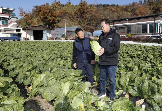 송인헌 괴산군수가 절임배추 생산농가 방문 (괴산군)