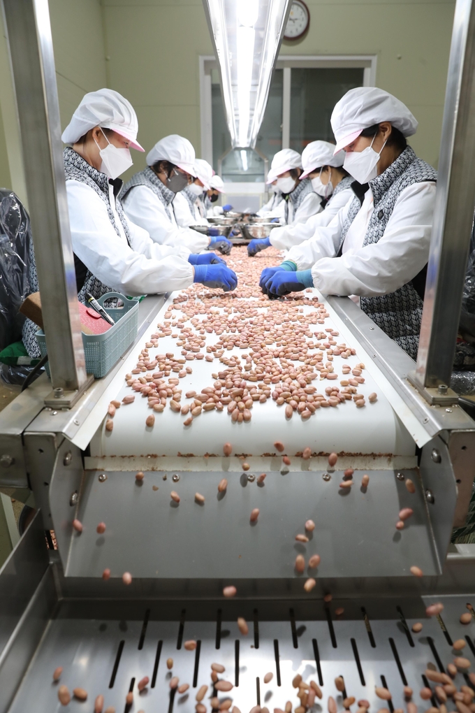 땅콩가공사업소 준공식 (고창군)