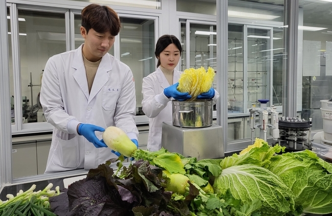 김장 성수식품 검사 (광주광역시)