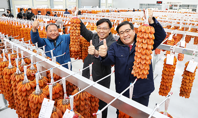 함양군 곶감 초매식 (함양군)