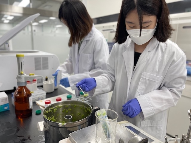 농약 검사 (경기도)