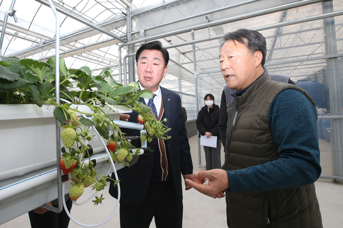 6일 이범석 청주시장, 스마트팜 시설 딸기농장 방문 (청주시)