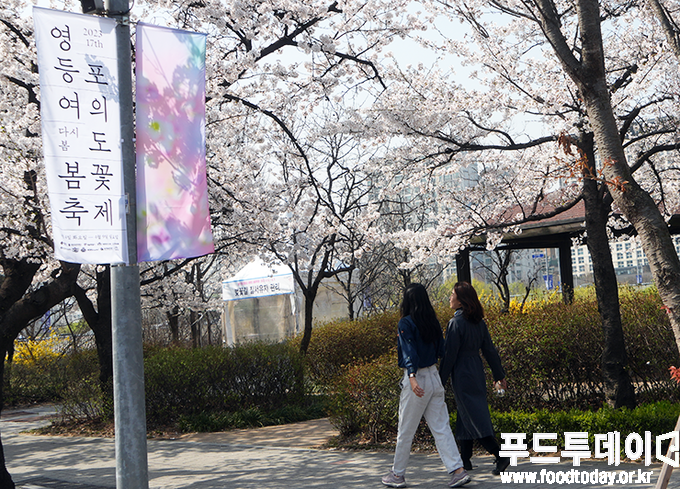 2023 서울 여의도 벚꽃축제