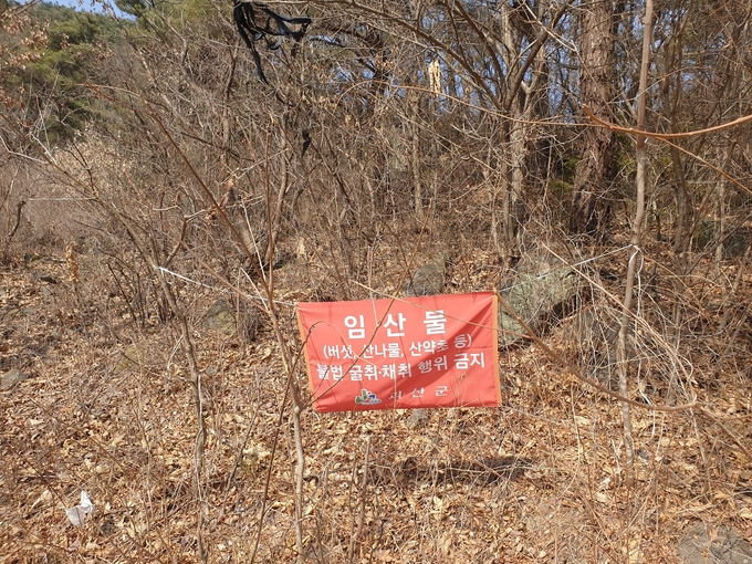 임산물 불법채취 (괴산군)
