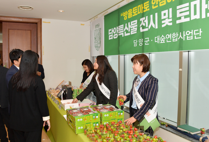 토마토 시식행사 (담양군)