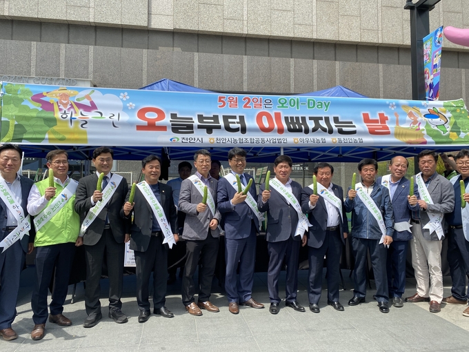 천안 오이데이 행사 (천안시)
