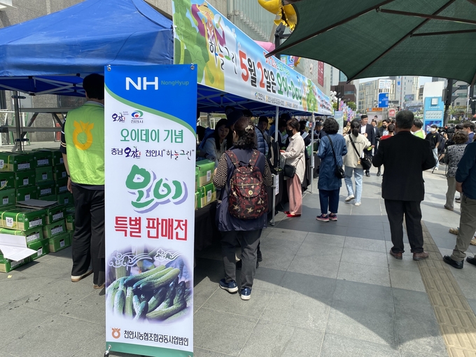 천안 오이데이 행사 (천안시)