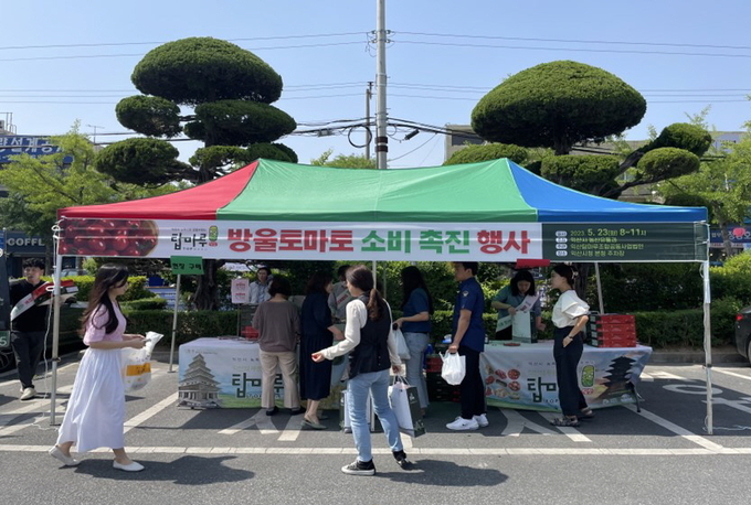 토마토 행사 (익산시)