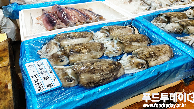 노량진 수산시장