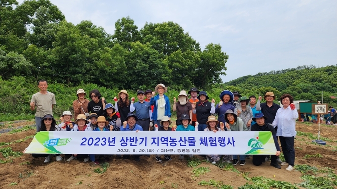 먹거리위원회 괴산서 감자 수확 (충청북도)