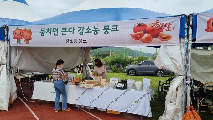 토마토 (횡성군)
