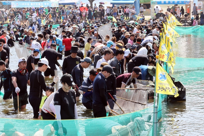 정남진 장흥 물축제 대왕 장어를 잡아라 (장흥군)