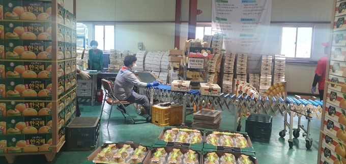 배 수출 (곡성군)