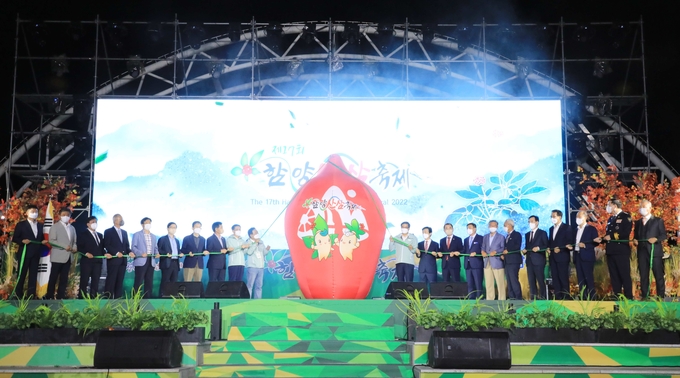 함양산삼축제 (함양군)