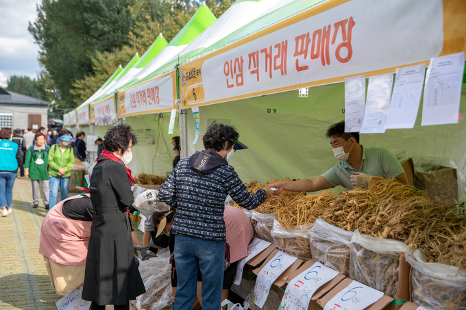 증평인삼골축제 (증평군)