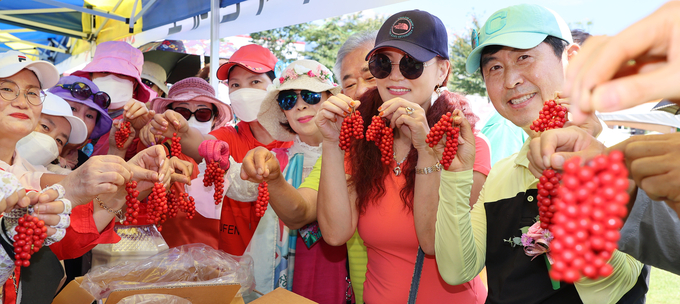 지리산함양 백전오미자축제 (함양군)