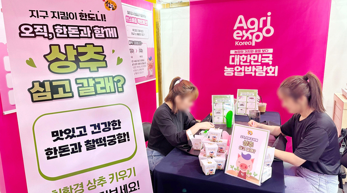 행사장을 찾은 방문객들이 한돈과 어울리는 친환경 상추를 심고 있다. (한돈자조금관리위원회 제공)