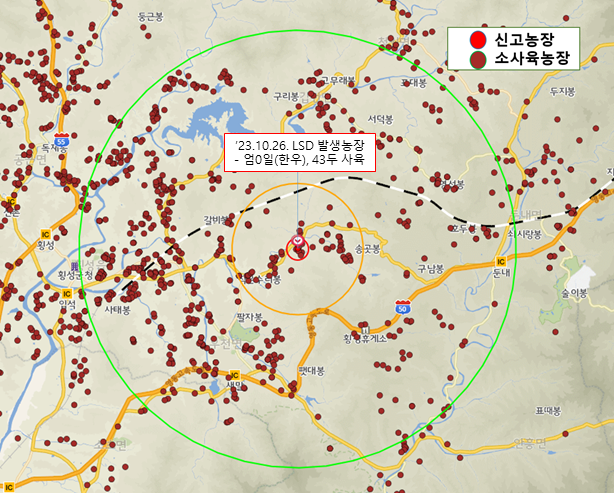 10km 방역대 (강원특별자치도)