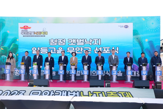 무안갯벌낙지축제 (무안군)