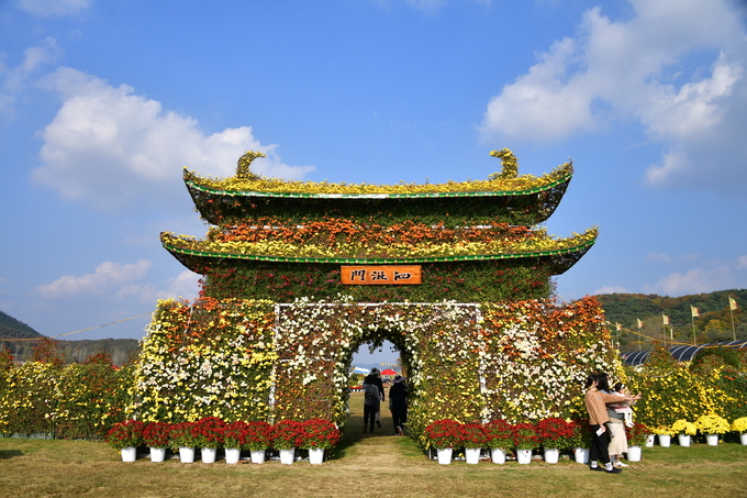 백제고도 부여국화축제 (부여군)
