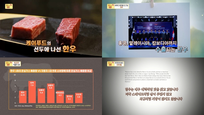 한우 특별 다큐멘터리 (제공 : SBS)