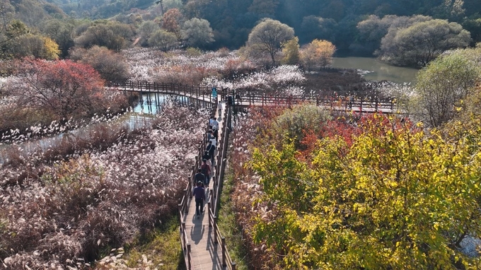  경북도 문경 돌리네습지 (경상북도)