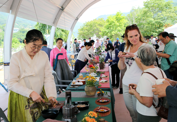 하동 야생차문화축제 (하동군) 