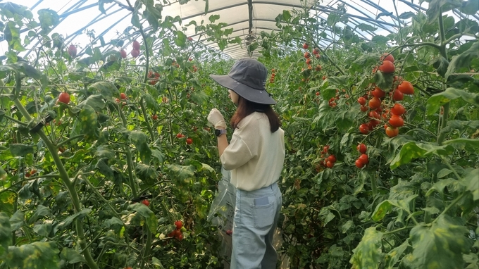 검사 수거 (공주시)