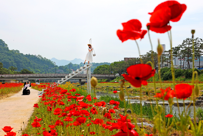 포토스팟 (괴산군)