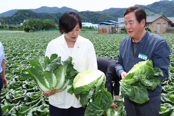 송미령 농림축산식품부 장관은 17일 여름배추 주산지인 강원특별자치도 평창군을 방문하여 여름배추 작황을 점검하고 생산농가를 격려하였다. 또한 여름철 수급불안에 대비하기 위한 정부 봄배추·봄무 비축 상황과 김치업계의 원료 확보 동향도 점검했다. (농림축산식품부 제공)