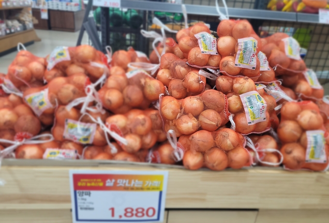 양파 마늘 소비촉진 할인행사 (전라남도)