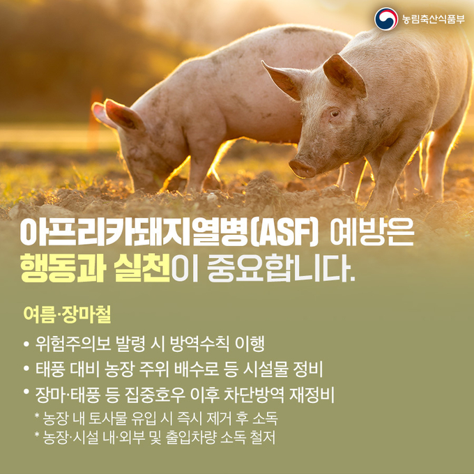 아프리카돼지열병 특별대책 추진-방역수칙 홍보포스터 (충청북도)