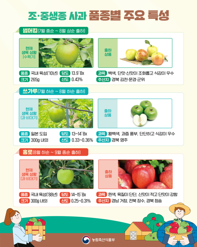 7~9월 출하 사과 품종별 주요 특성 (농림축산식품부 제공)