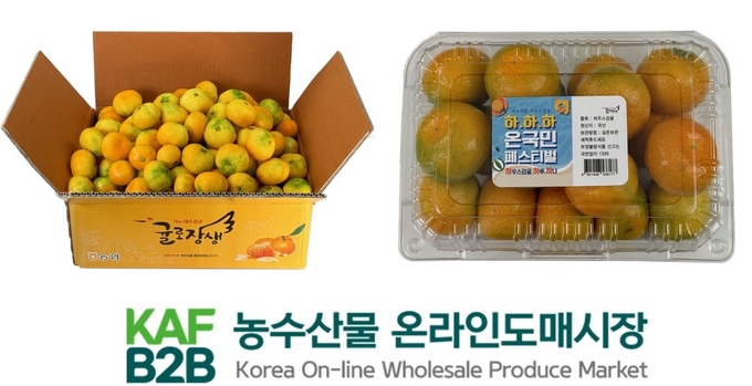 농수산물 온라인도매시장 7호 특화상품 ‘하우스감귤’ (한국농수산식품유통공사 제공)