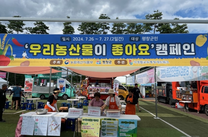 캠페인 전개 (평창군)