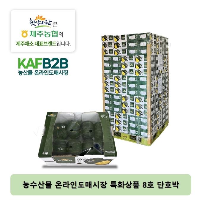 특화상품 제주 단호박 (한국농수산식품유통공사 제공)